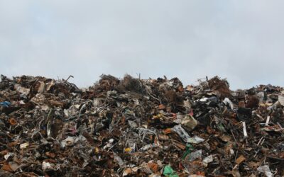 What Not to Throw in Your Dumpster: Toss N Haul’s Prohibited Items Guide